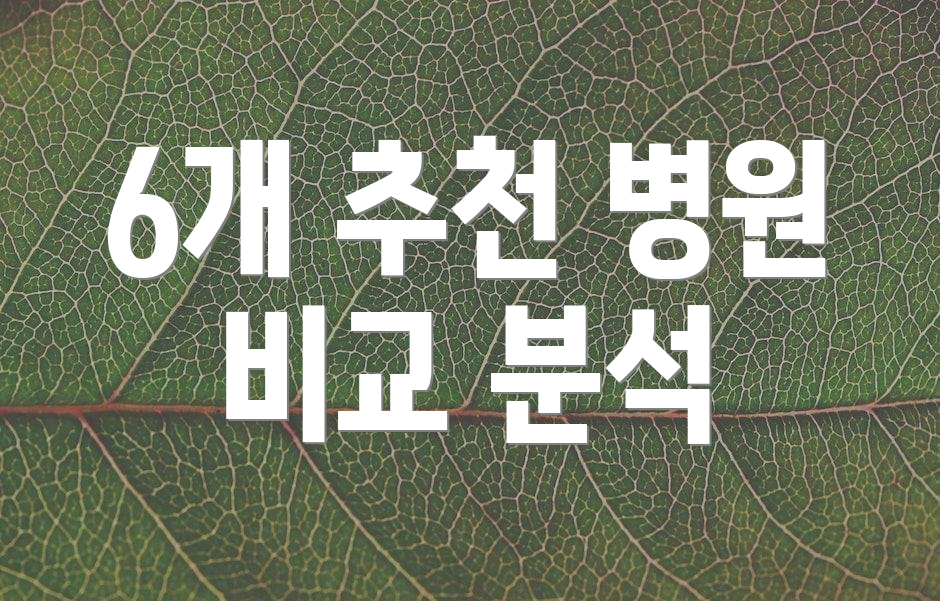 6개 추천 병원 비교 분석