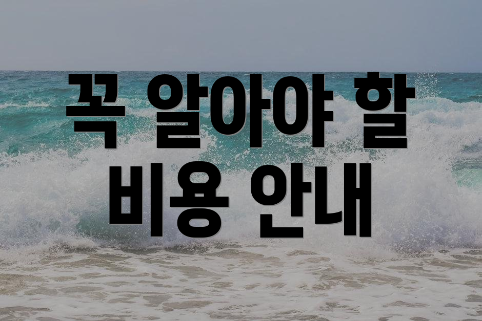 꼭 알아야 할 비용 안내
