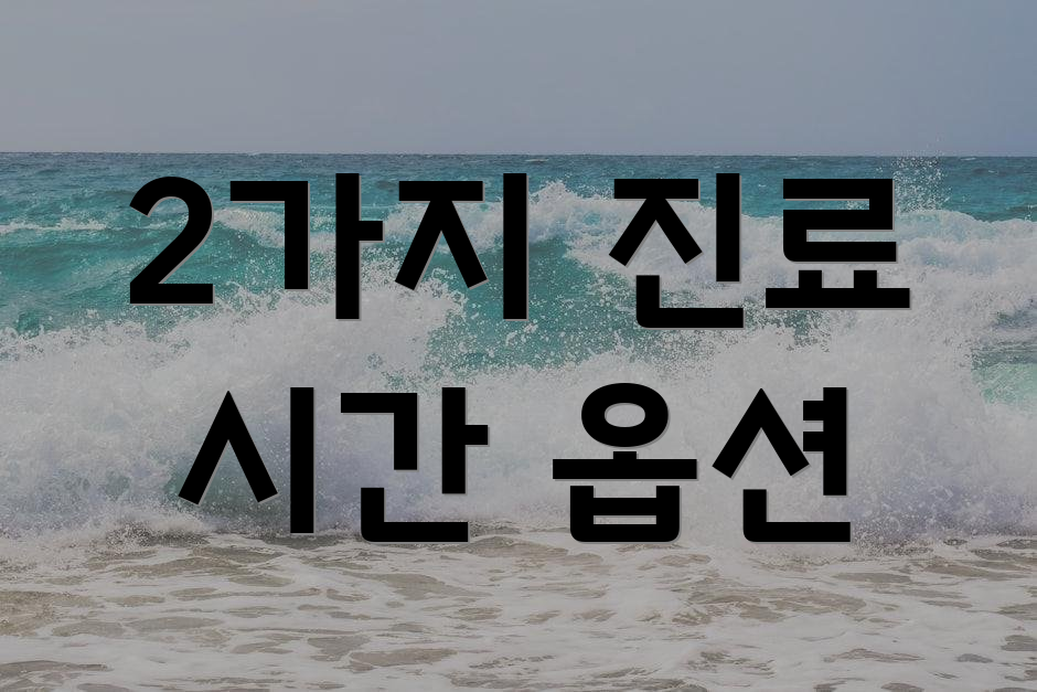 2가지 진료 시간 옵션