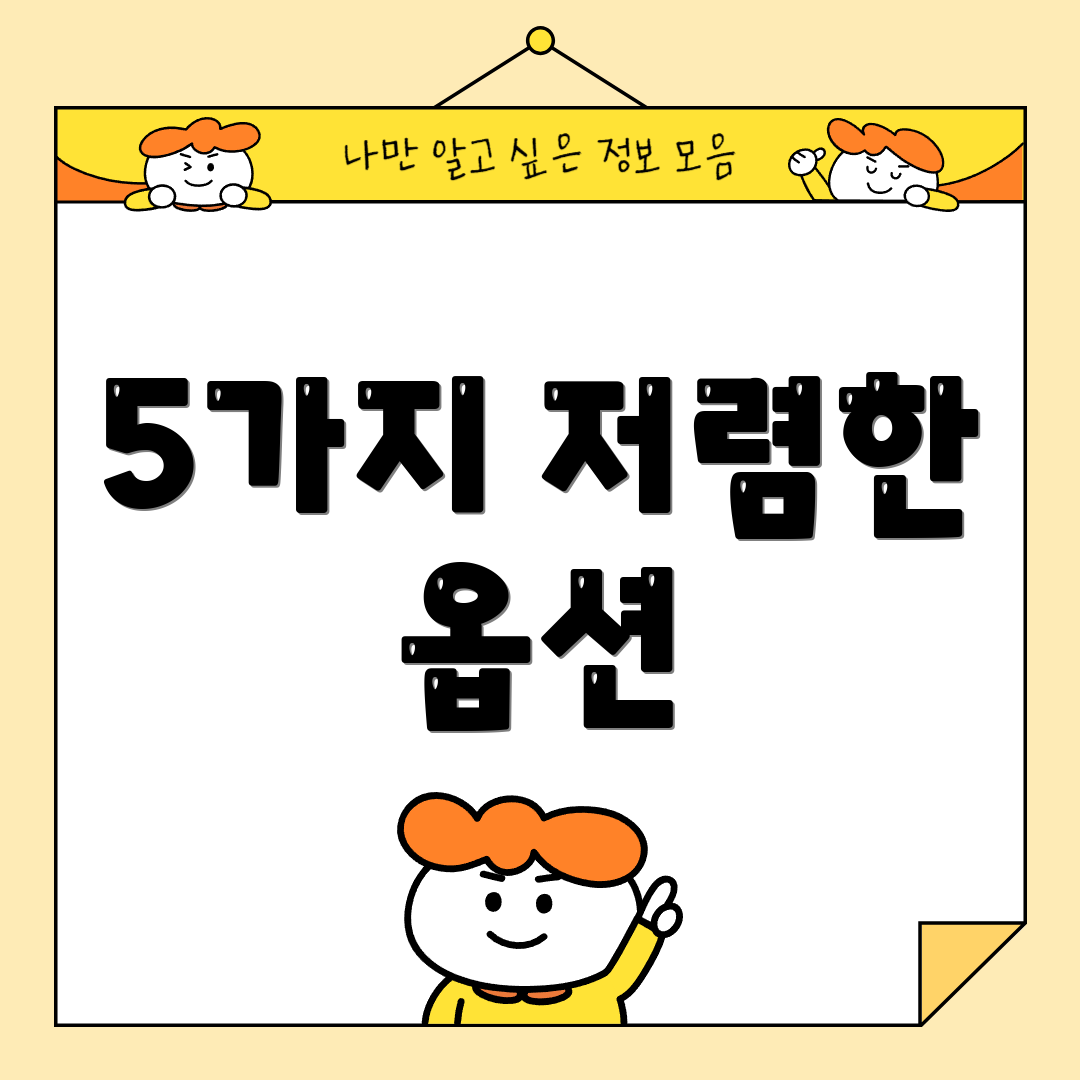 5가지 저렴한 옵션