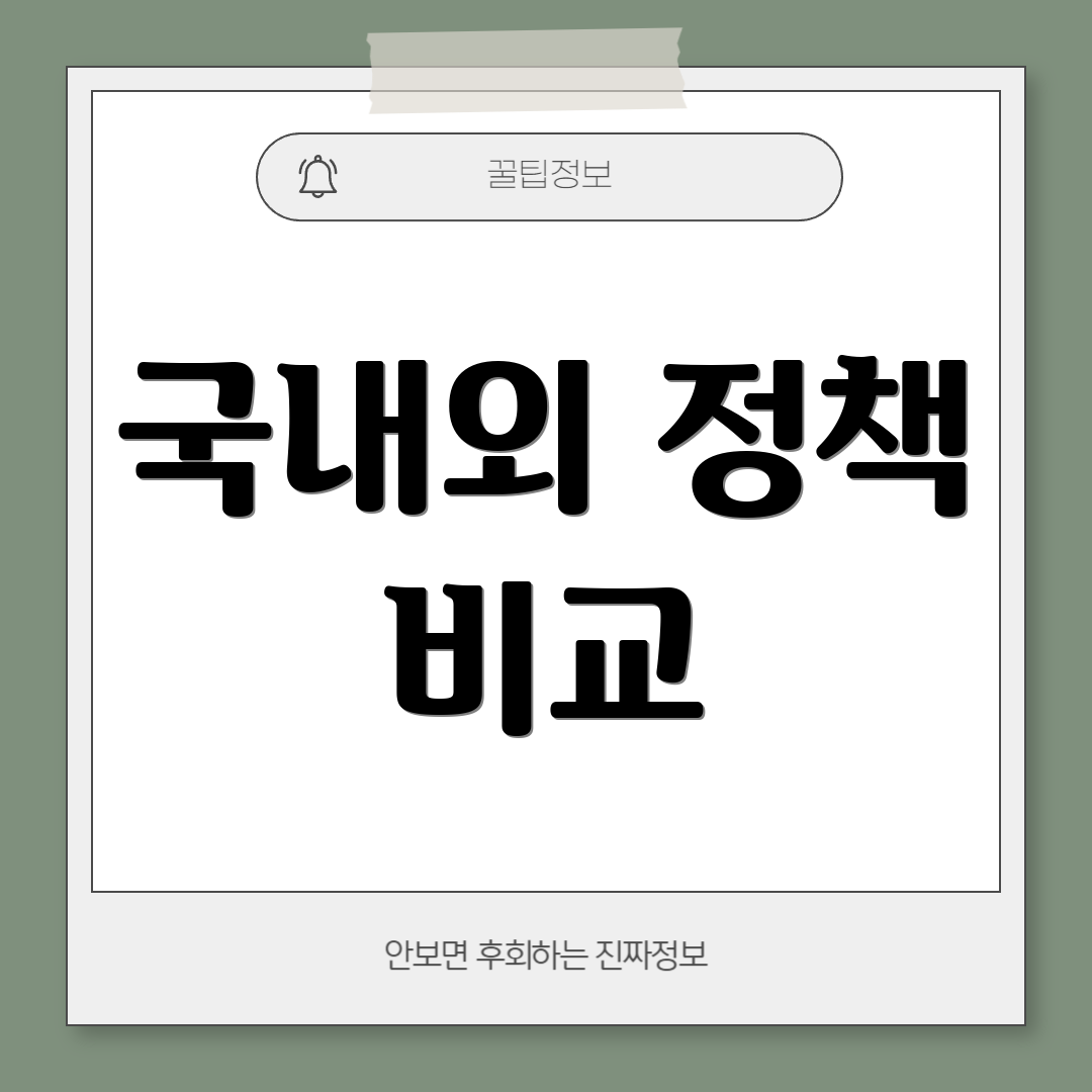 국내외 정책 비교