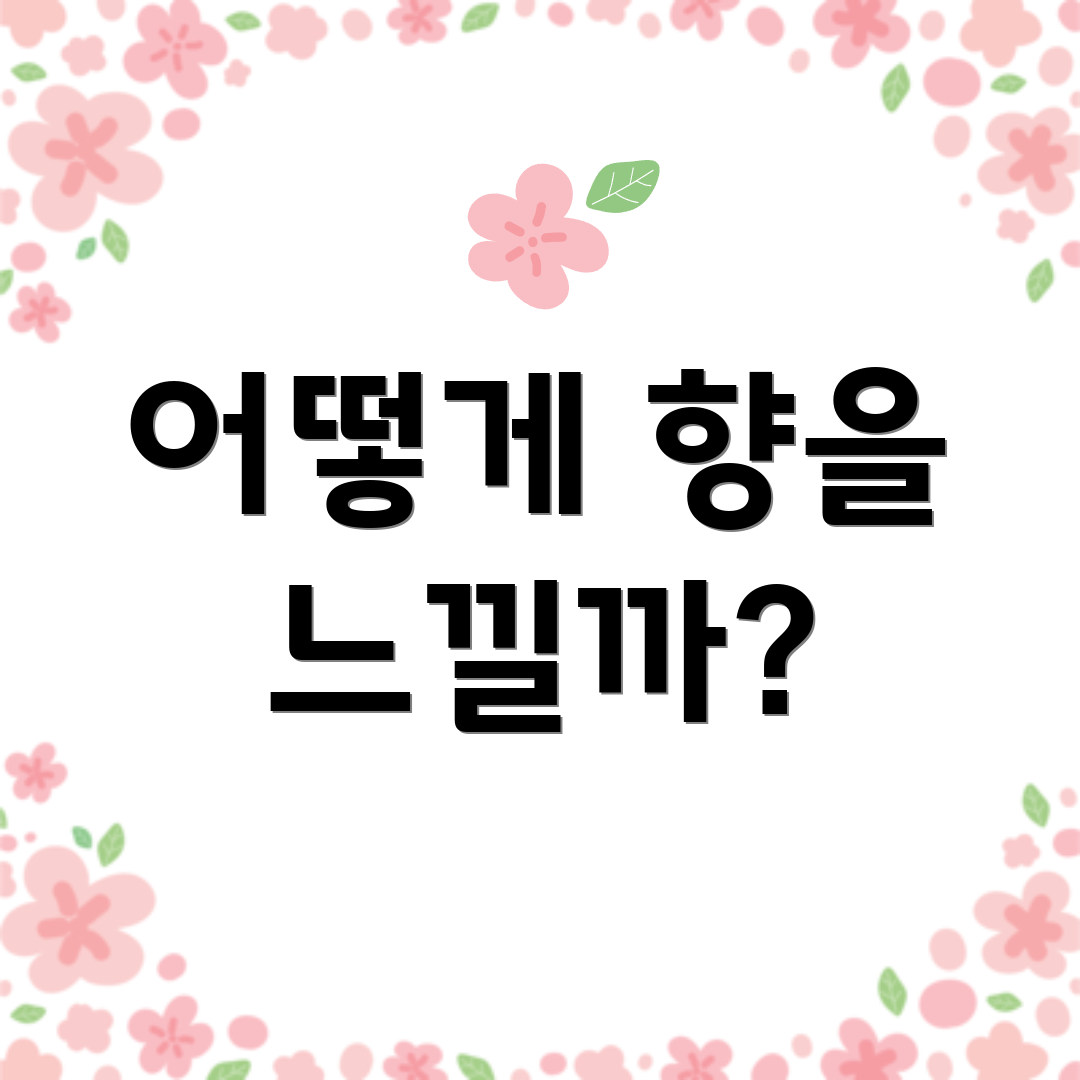어떻게 향을 느낄까?