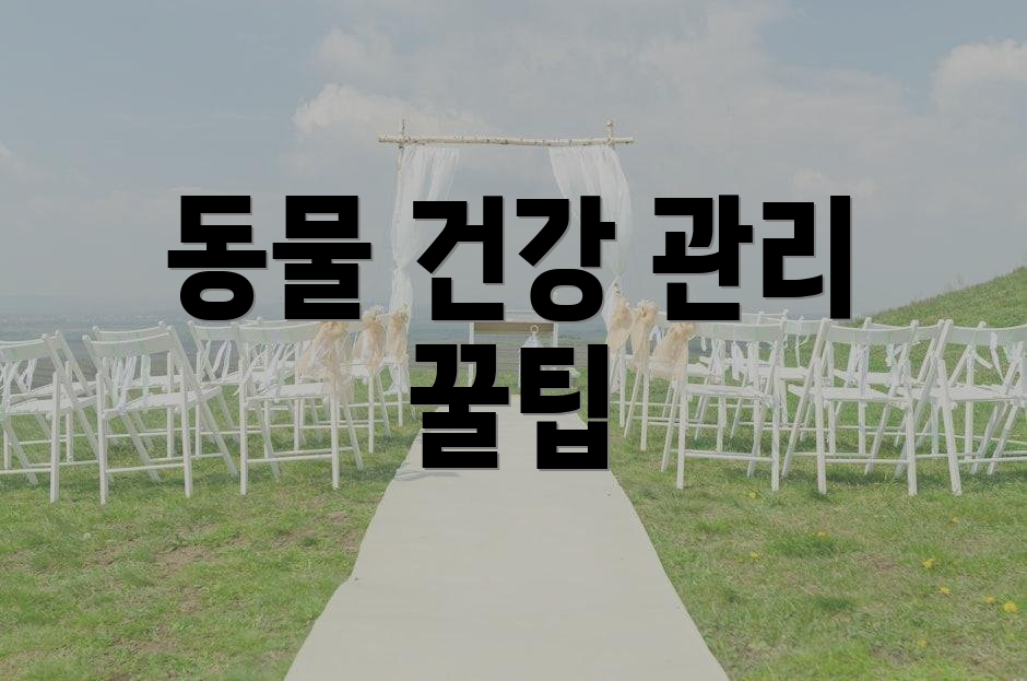 동물 건강 관리 꿀팁