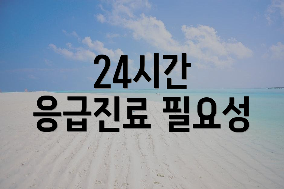 24시간 응급진료 필요성