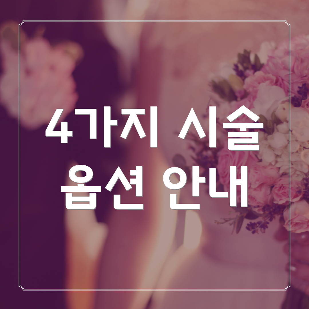 4가지 시술 옵션 안내