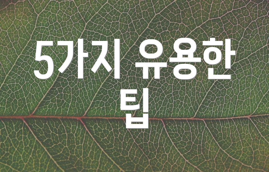 5가지 유용한 팁