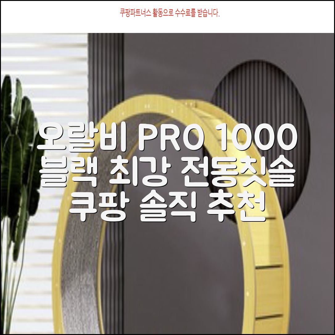 오랄비 전동칫솔, PRO 1000, 블랙, 1개 추천 리뷰