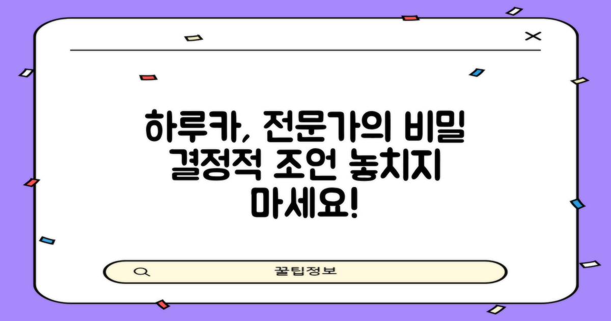전문가가 말하는 하루카
