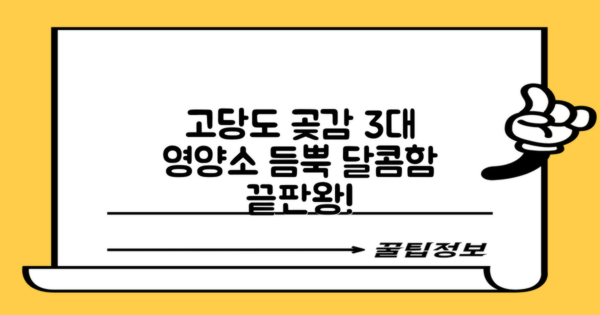 3대 영양소 고당도 곶감