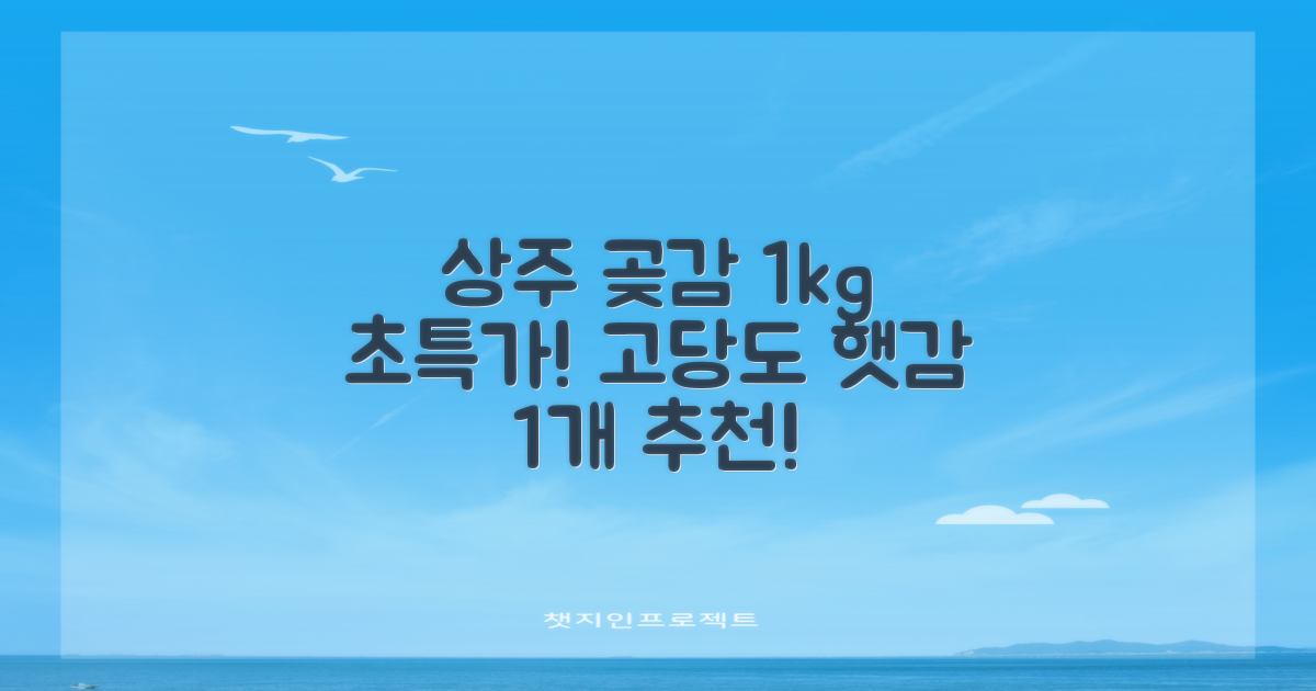 상주 곶감 초특가 1kg 고당도 햇감, 1개 추천 리뷰