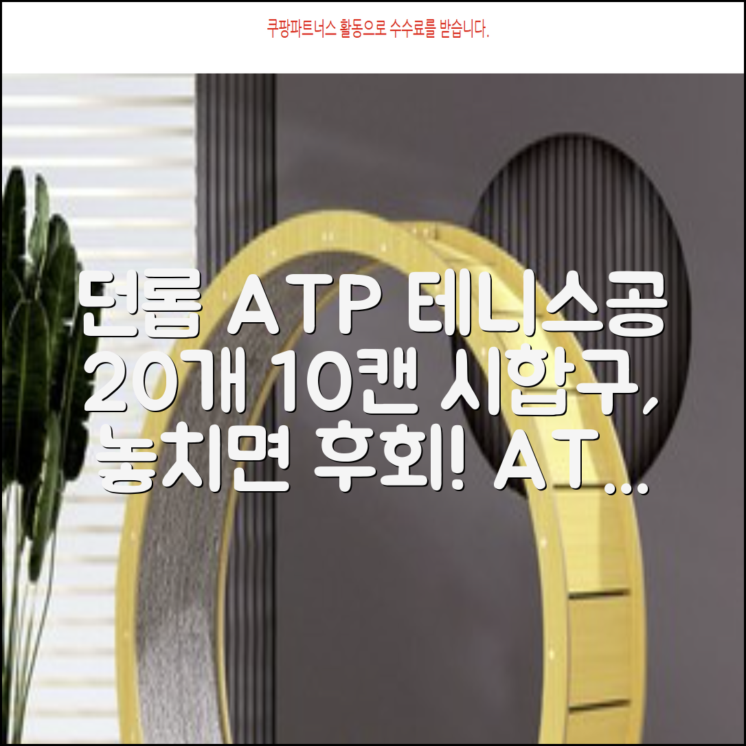 2025 던롭 ATP 테니스공 10캔 (20볼) 시합구, 던롭 ATP볼 10캔 (20볼), 10세트 추천 리뷰