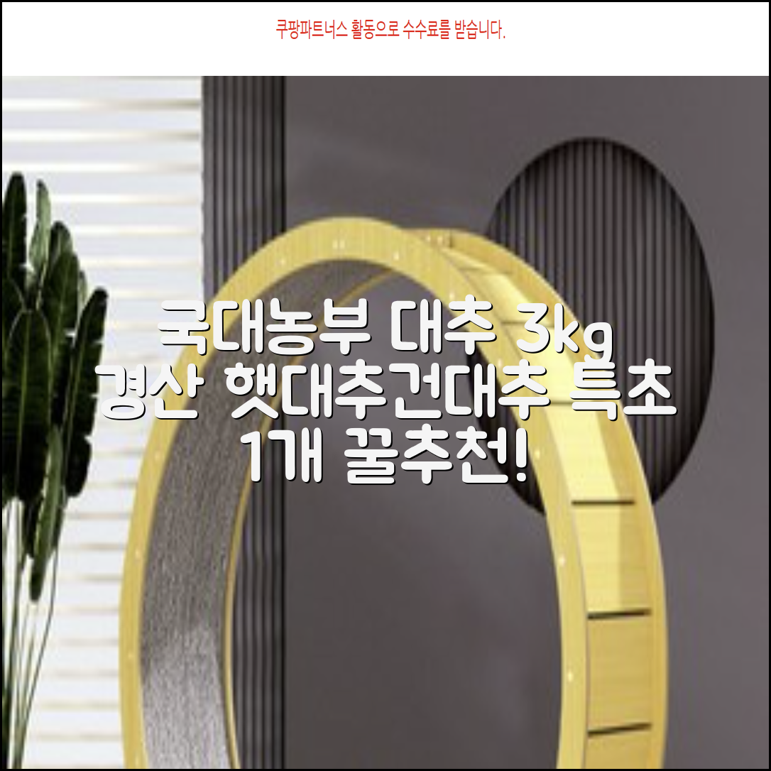 국대농부 경산 햇대추 건대추, 3kg(특초), 1개 추천 리뷰