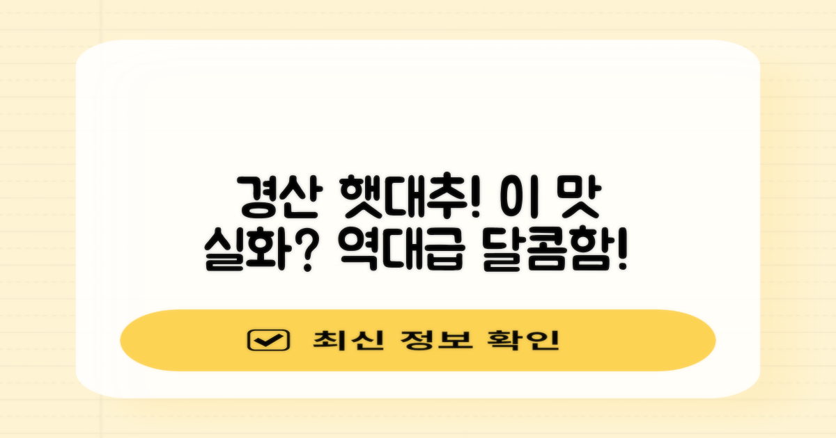 경산 햇대추, 맛은 어떨까?