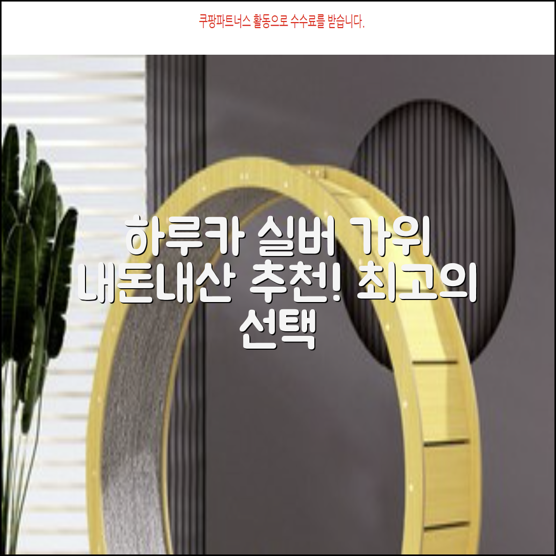 하루카 미용가위 세트, 실버, 1개 추천 리뷰