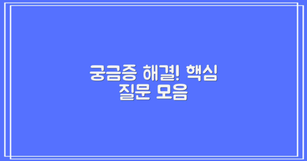 자주 묻는 질문