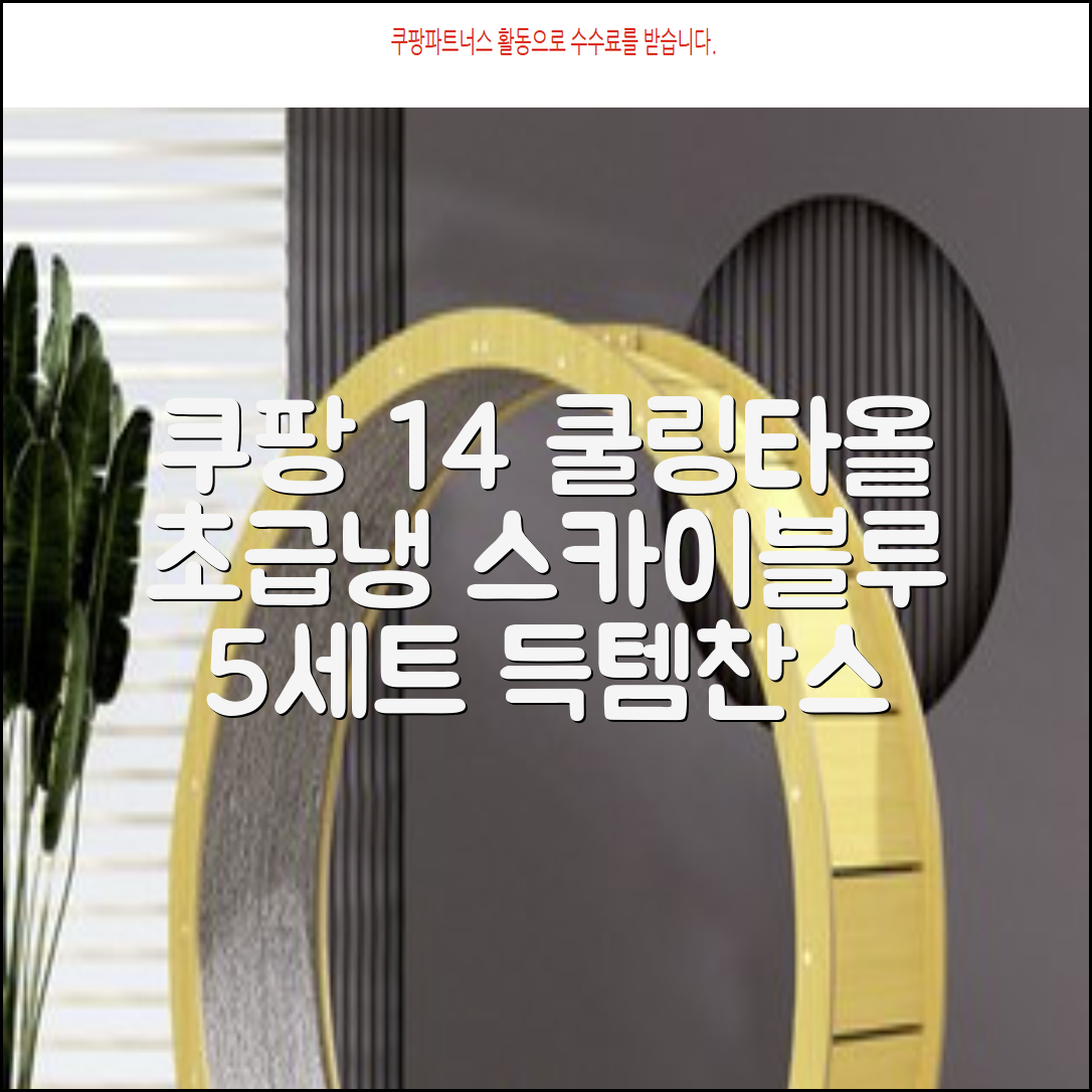 [쿠팡입점 1+4 이벤트] 아이스 쿨링 스포츠타올 건식 급냉 타올, 5세트, 스카이블루 추천 리뷰