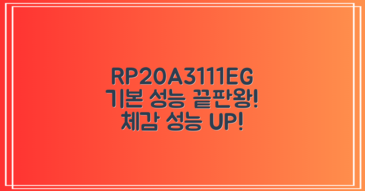 RP20A3111EG, 기본 성능 제대로