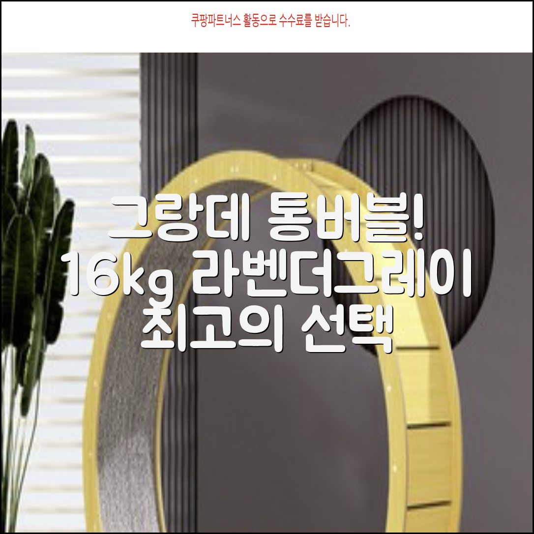 삼성전자 그랑데 통버블 세탁기 WA16CG6441BY 16kg 방문설치, 라벤더그레이 추천 리뷰