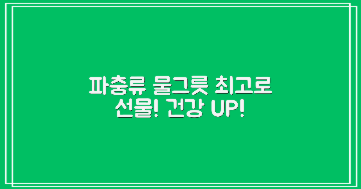 당신의 파충류에게 최고의 물그릇을 선물하세요!