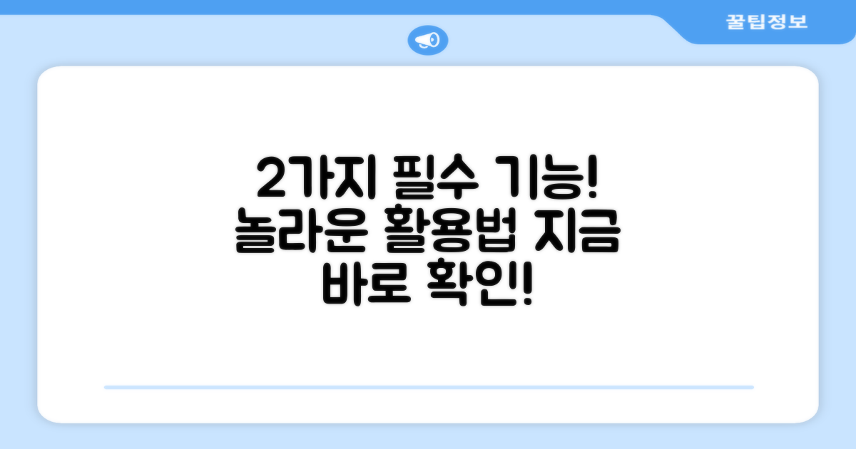 2가지 실용적 기능
