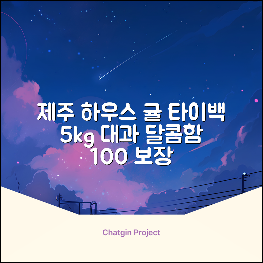 [산지당도선별] 제주 명품 하우스 귤 타이백 감귤, 1박스, 5kg 대과 추천 리뷰