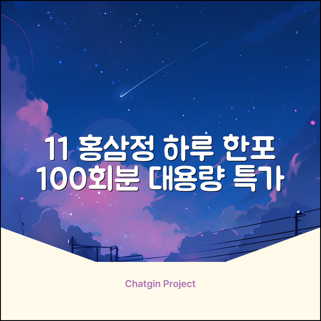 [1+1 특가] 홍삼정 6년근 하루한포 100회분 대용량+쇼핑백, 2개, 1L 추천 리뷰