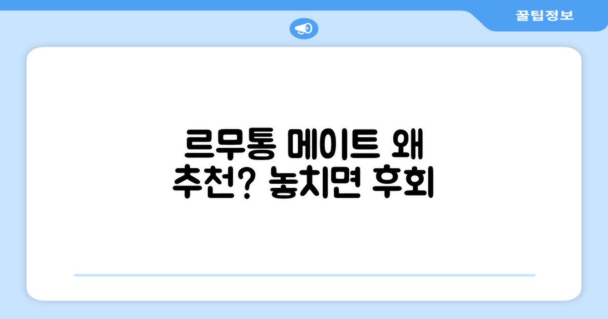 르무통 메이트, 왜 추천할까?