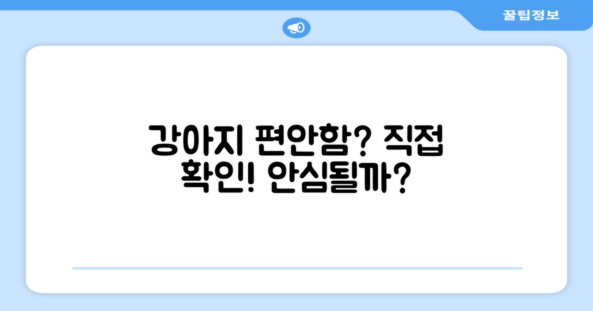 우리 강아지에게 편안할까?