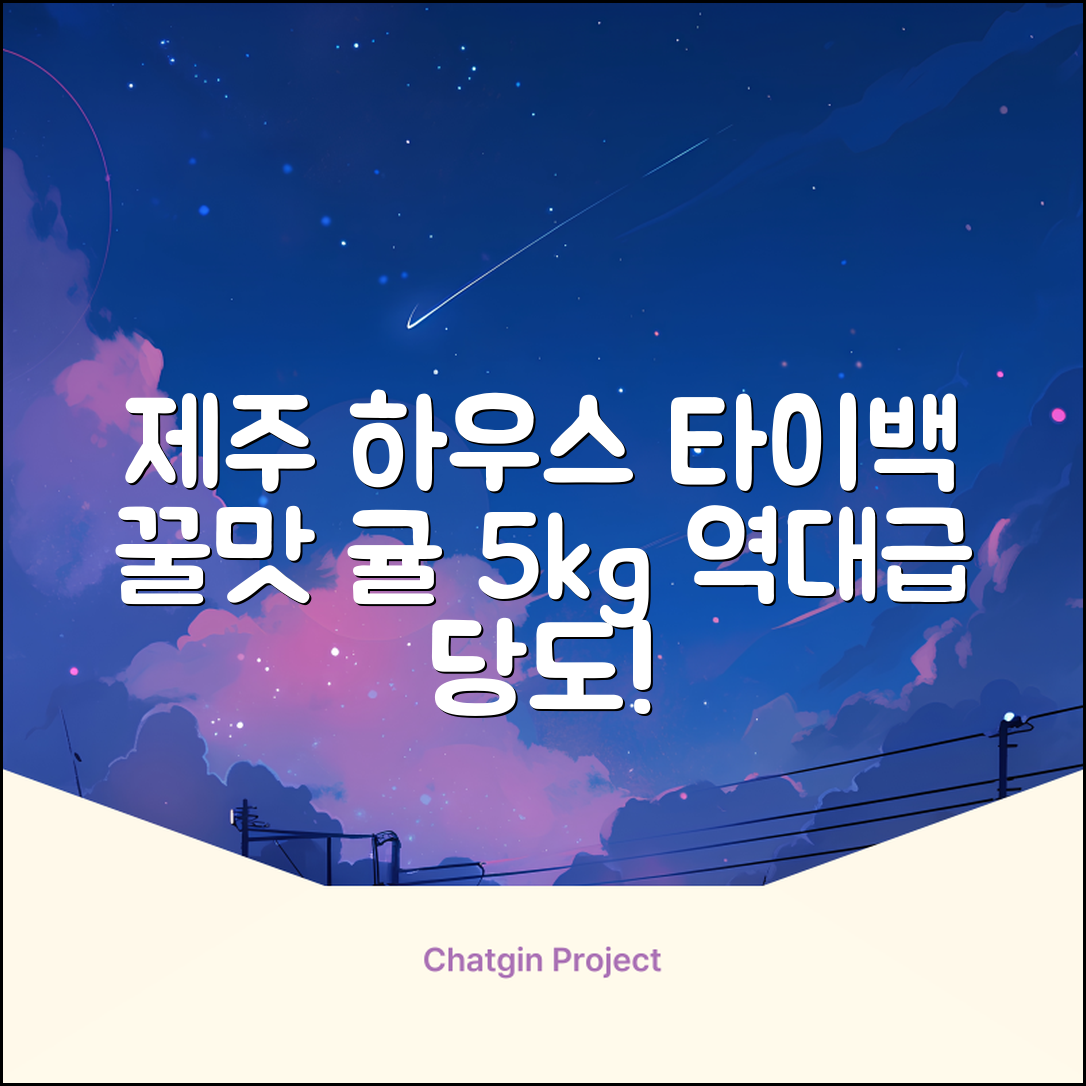 [산지당도선별] 제주 명품 하우스 귤 타이백 감귤, 1박스, 5kg 대과 추천 리뷰