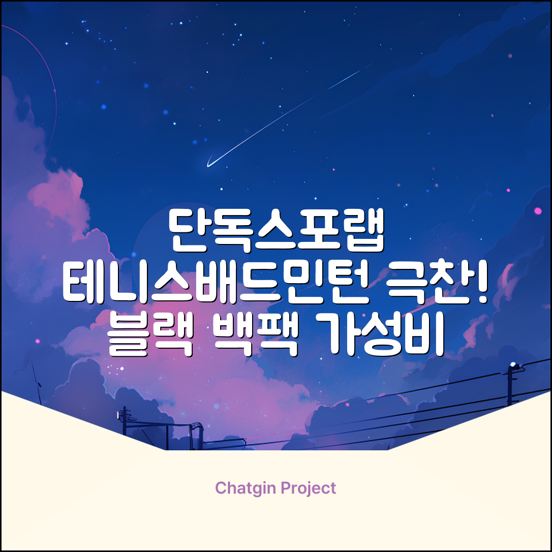 스포랩 테니스 가방 배드민턴 백팩, 블랙, 1개 추천 리뷰