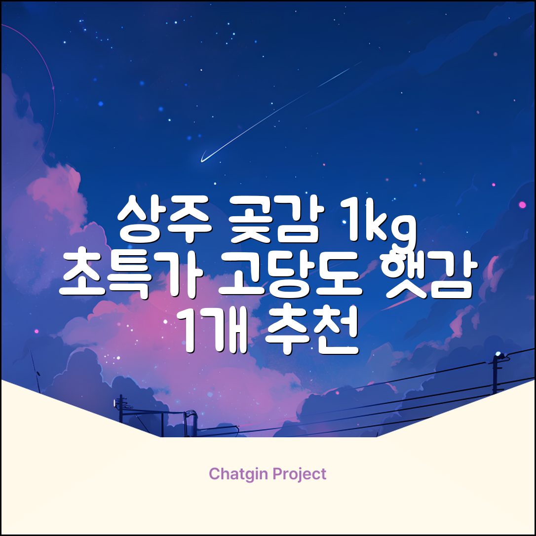 상주 곶감 초특가 1kg 고당도 햇감, 1개 추천 리뷰