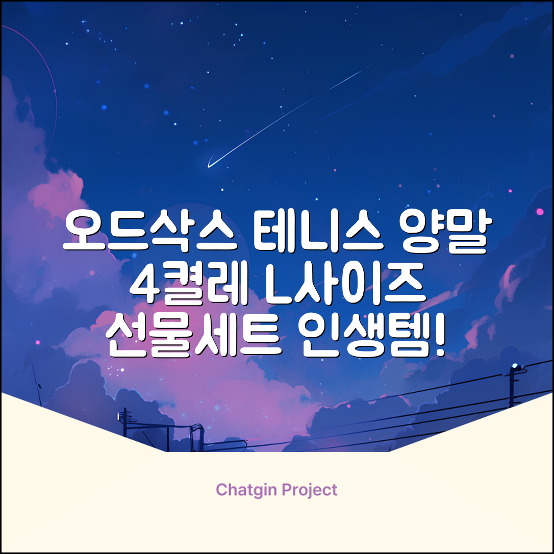 [오드삭스] 테니스 양말 세트B 4켤레 선물용, L(255mm-275mm), 1개 추천 리뷰