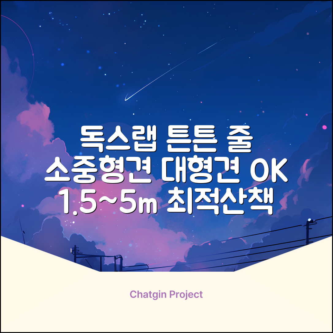 독스랩 1.5m 2m 3m 5m 스트롱 로프 소형견 중형견 대형견 줄 강아지 리드줄 산책줄, 블랙, 1개 추천 리뷰