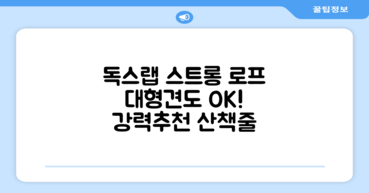 독스랩 1.5m 2m 3m 5m 스트롱 로프 소형견 중형견 대형견 줄 강아지 리드줄 산책줄, 블랙, 1개 추천 리뷰