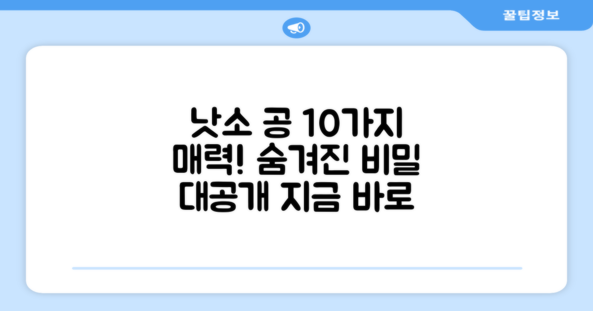 10가지 낫소 공 장점