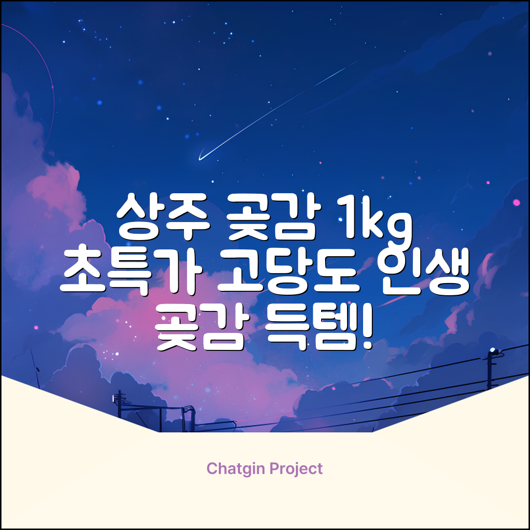 상주 곶감 초특가 1kg 고당도 햇감, 1개 추천 리뷰