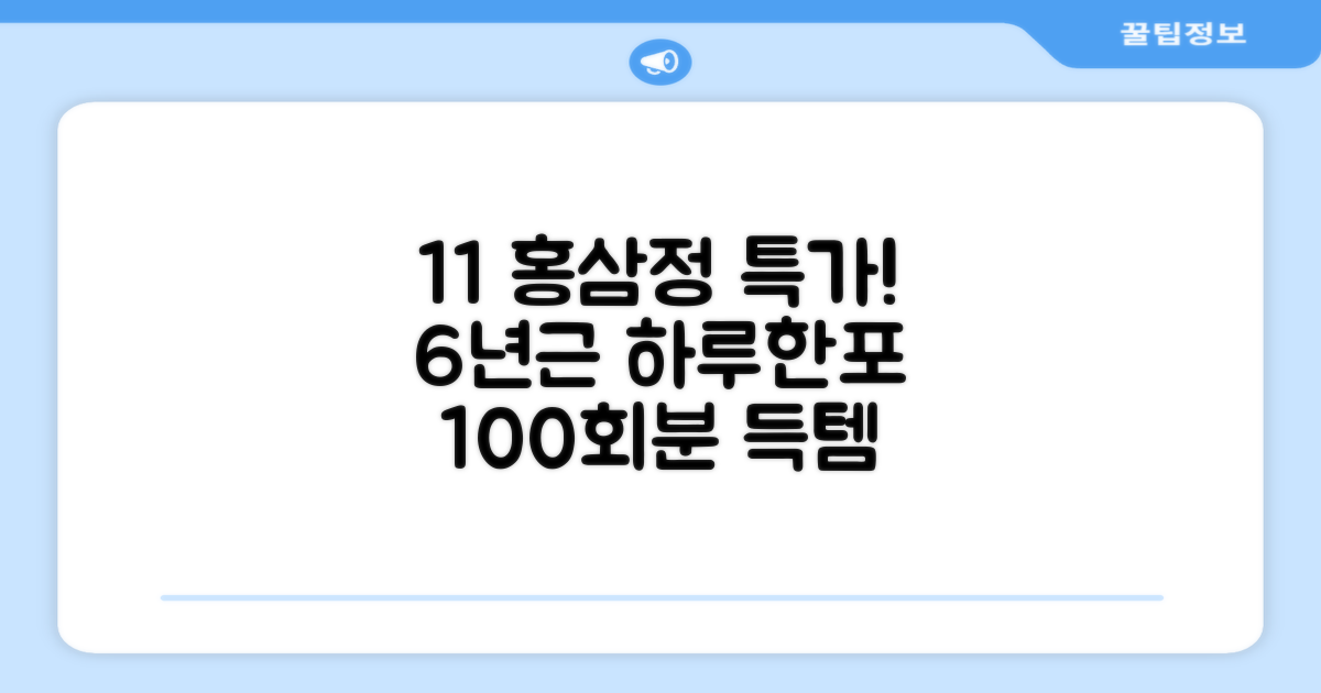 [1+1 특가] 홍삼정 6년근 하루한포 100회분 대용량+쇼핑백, 2개, 1L 추천 리뷰