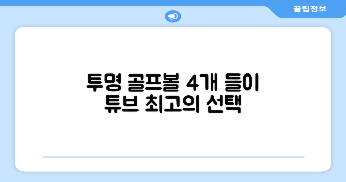 4개입 투명 골프볼 튜브