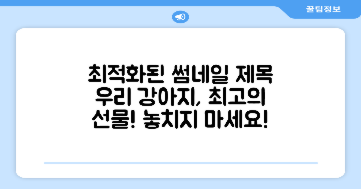 우리 강아지에게 이걸 선물하세요!