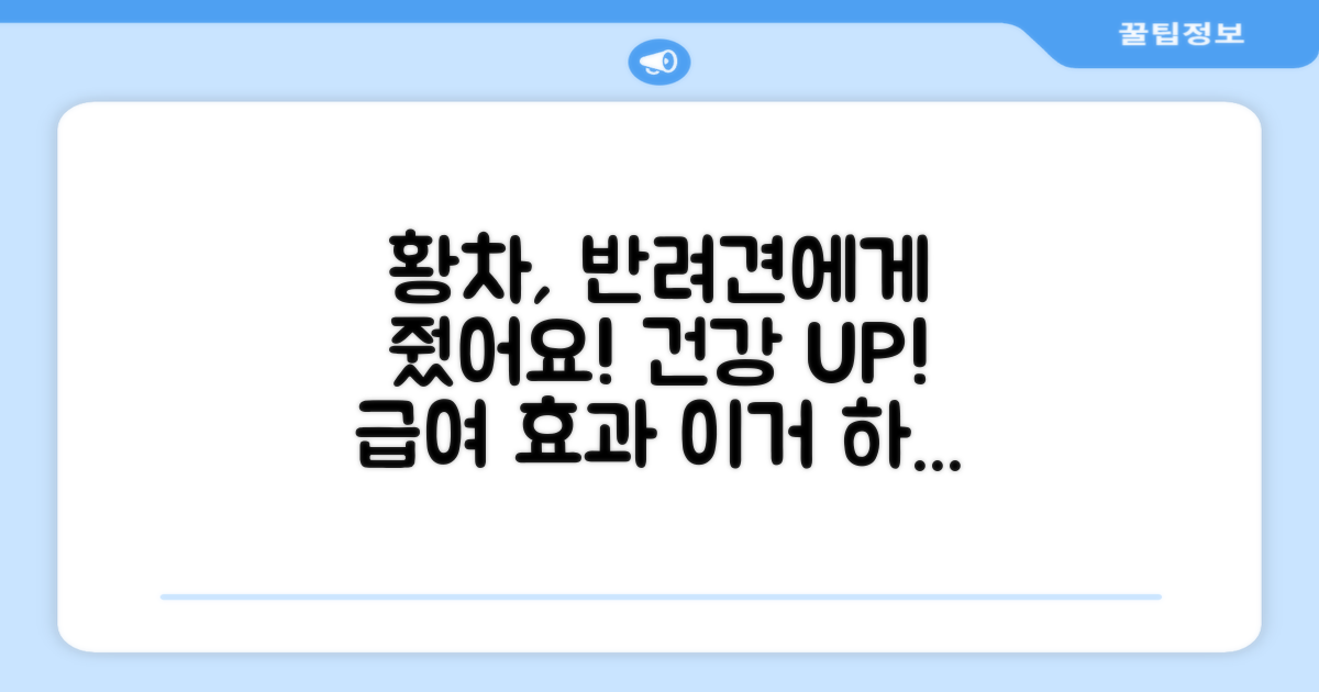 더보양 황차가 강아지에게 어떤 도움을 주나요?