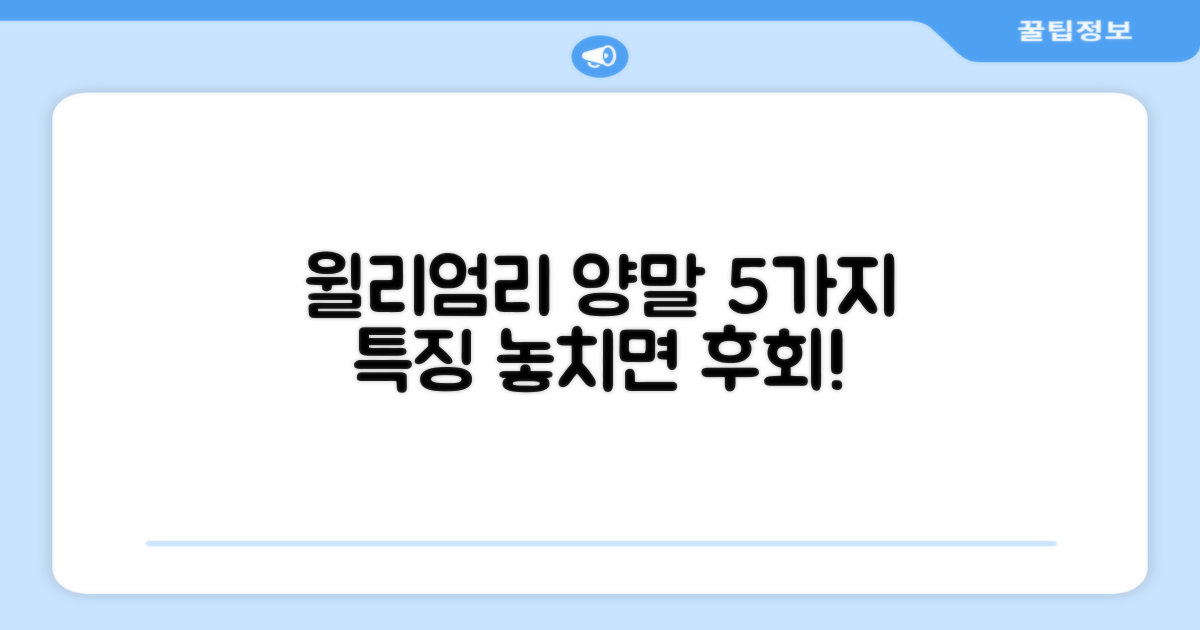 윌리엄리 양말 5가지 특징