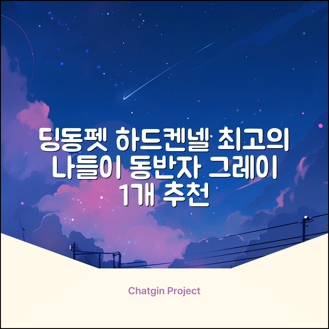 딩동펫 반려동물 나들이 하드켄넬, 그레이, 1개 추천 리뷰