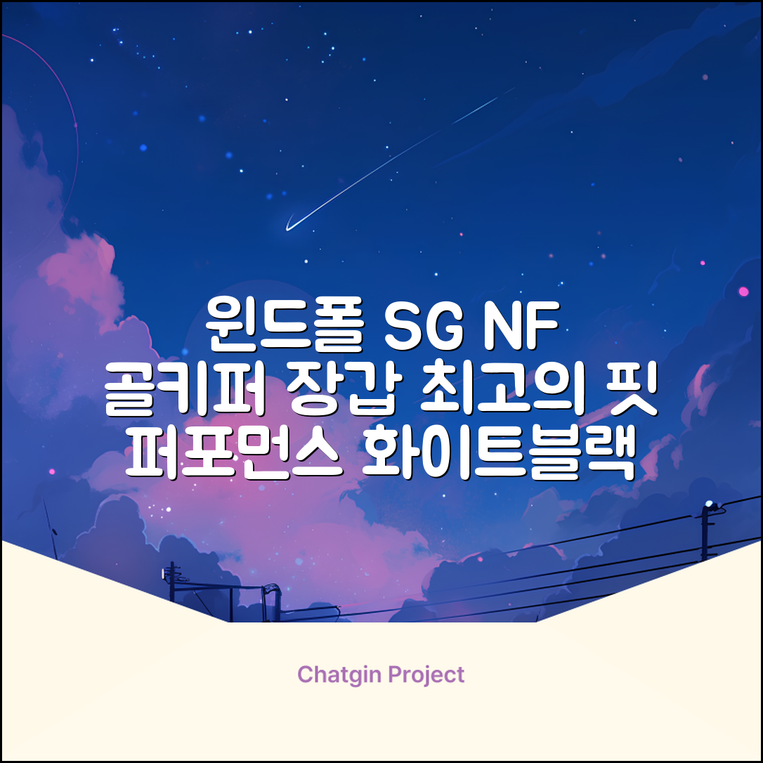 윈드폴스포츠 SG NF 축구 골키퍼장갑 5호-10호, 윈드폴스포츠 SG NF 골키퍼장갑 화이트 블랙, 1개 추천 리뷰