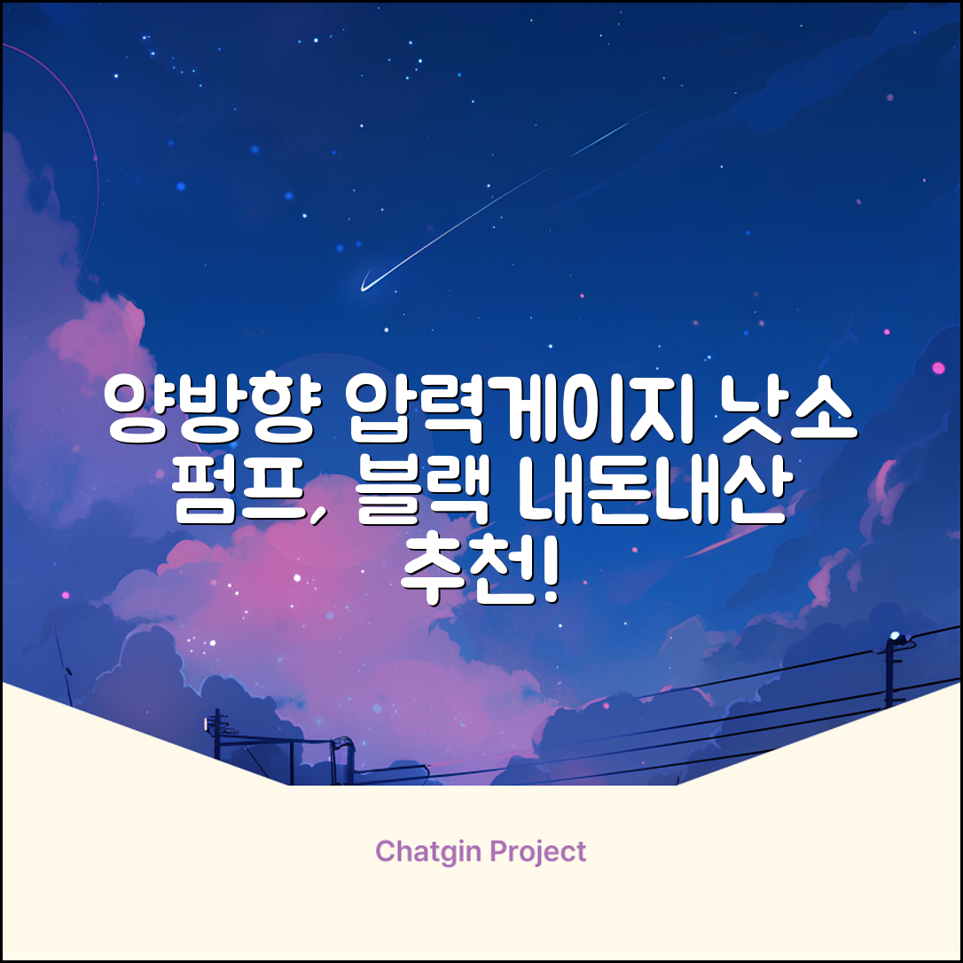 낫소 양방향 압력게이지 펌프, 블랙, 1개 추천 리뷰