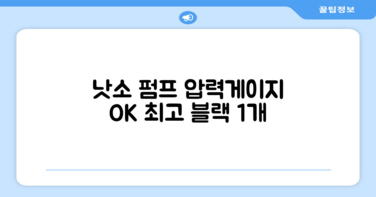 낫소 양방향 압력게이지 펌프, 블랙, 1개 추천 리뷰