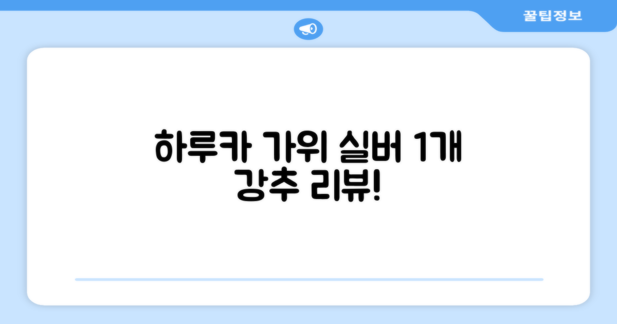 하루카 미용가위 세트, 실버, 1개 추천 리뷰