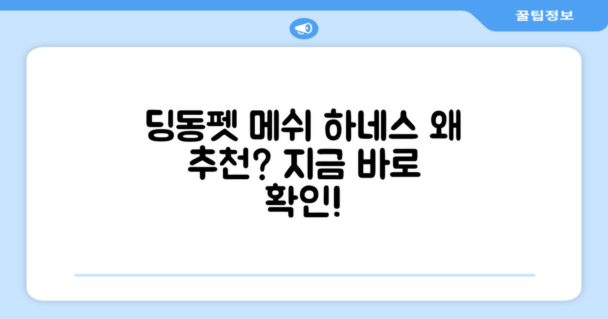 딩동펫 메쉬 하네스, 왜 추천할까?