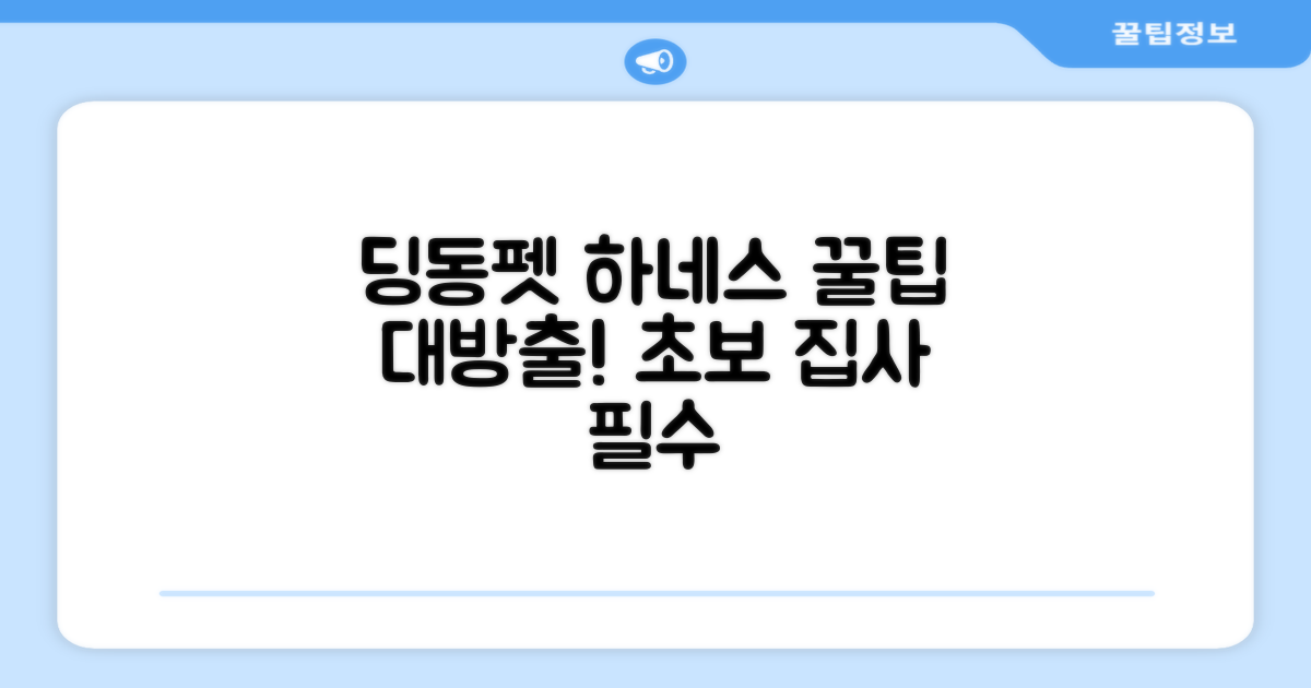딩동펫 하네스, 활용 팁 공개