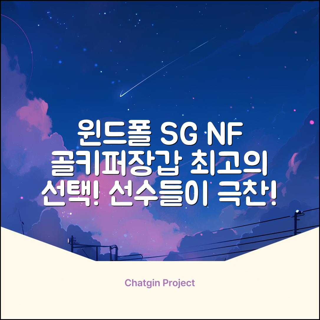 윈드폴스포츠 SG NF 축구 골키퍼장갑 5호-10호, 윈드폴스포츠 SG NF 골키퍼장갑 화이트 블랙, 1개 추천 리뷰