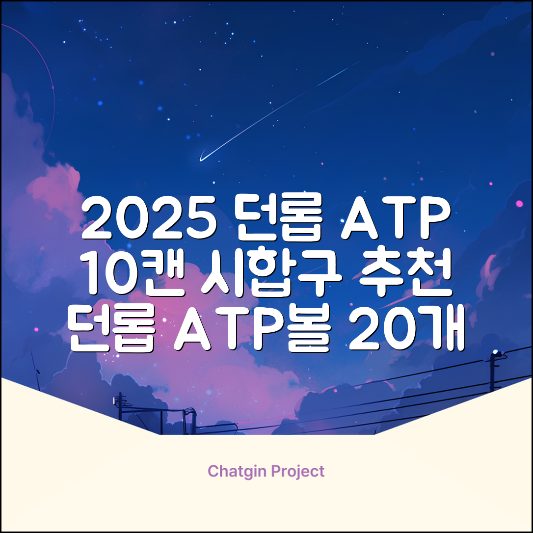 2025 던롭 ATP 테니스공 10캔 (20볼) 시합구, 던롭 ATP볼 10캔 (20볼), 10세트 추천 리뷰